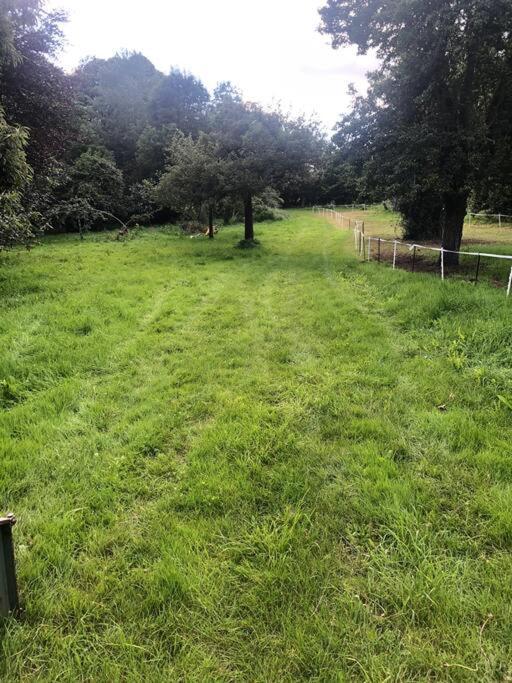 La Foret Auvray - Maison De Campagne Putanges Exteriör bild